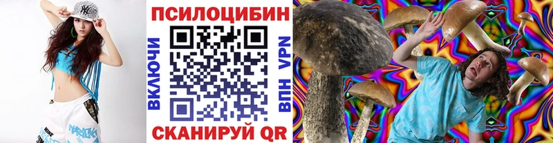 Галлюциногенные грибы мицелий  наркотики  Горячий Ключ 
