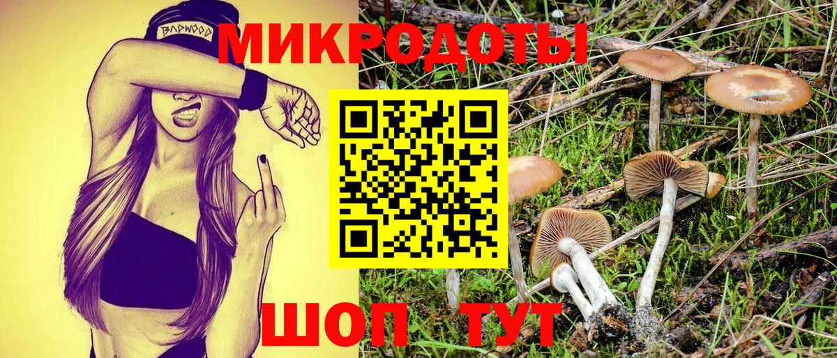 Горячий Ключ  Псилоцибиновые грибы мухоморы  Вход с VPN  Галлюциногенные грибы Psilocybe 